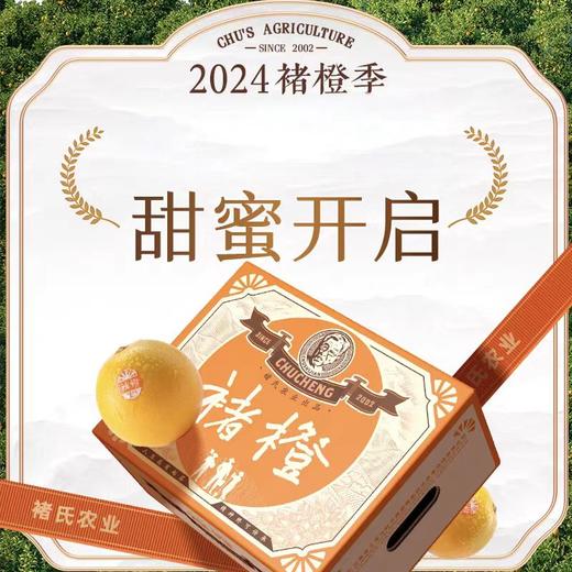 【2025年新鲜褚橙】下单即赠36元券包  7天左右发货 褚橙官方正品 当季新鲜橙子 甜蜜多汁 礼盒装10斤 5种规格任选 商品图5