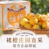 【2025年新鲜褚橙】下单即赠36元券包  7天左右发货 褚橙官方正品 当季新鲜橙子 甜蜜多汁 礼盒装10斤 5种规格任选 商品缩略图1