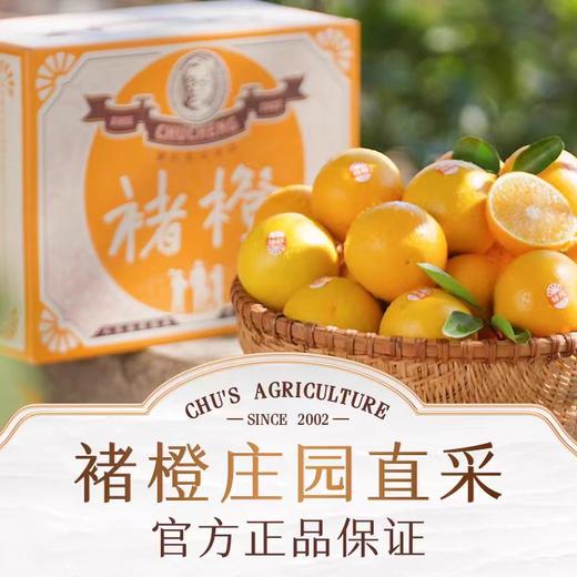 【2025年新鲜褚橙】下单即赠36元券包  7天左右发货 褚橙官方正品 当季新鲜橙子 甜蜜多汁 礼盒装10斤 5种规格任选 商品图1