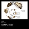 【单只现货】皇御 （Ostra Regal） 商品缩略图0