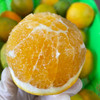脐橙 约1000g/份 商品缩略图3