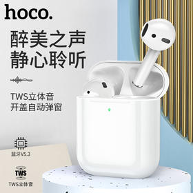 浩酷hoco. 真无线蓝牙耳机CES3 Pro