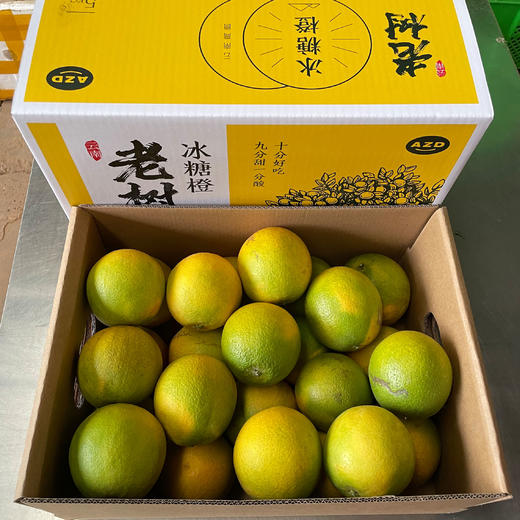 爱臻多老树橙（不打蜡）5kg 商品图0