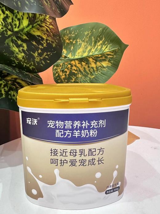 宠物羊奶粉（谷登/麦富迪） 商品图4
