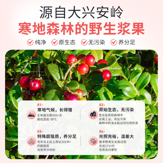 塔哈尔河野生蔓越莓果干250g 商品图3