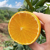爱媛38号果冻橙 ·眉山蒲江特产-彩箱装【水果】SXS 商品缩略图0