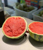 春春麒麟西瓜，瓜味浓郁，甜嫩多汁 商品缩略图1