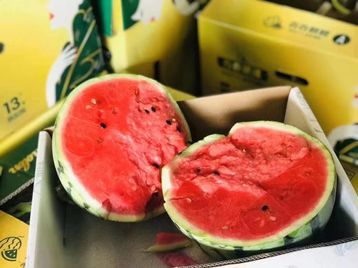 春春麒麟西瓜，瓜味浓郁，甜嫩多汁 商品图3