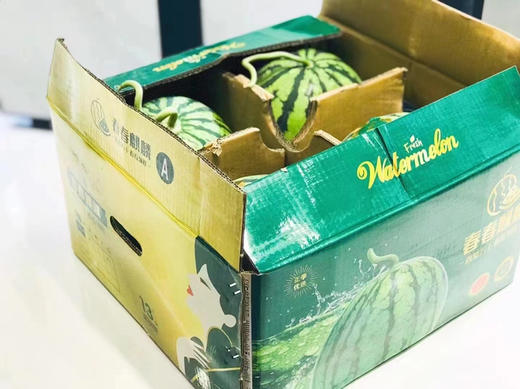 春春麒麟西瓜，瓜味浓郁，甜嫩多汁 商品图2