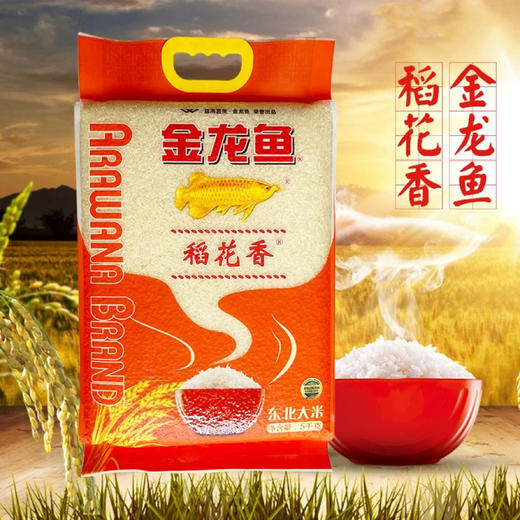 金龙鱼稻花香东北大米 5kg/袋 商品图2