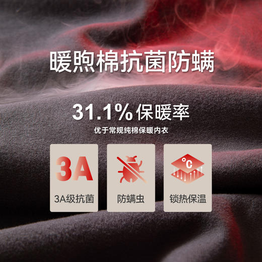 Threegun三枪 【暖煦棉】半高领男士内衣套装-24439D021 商品图2