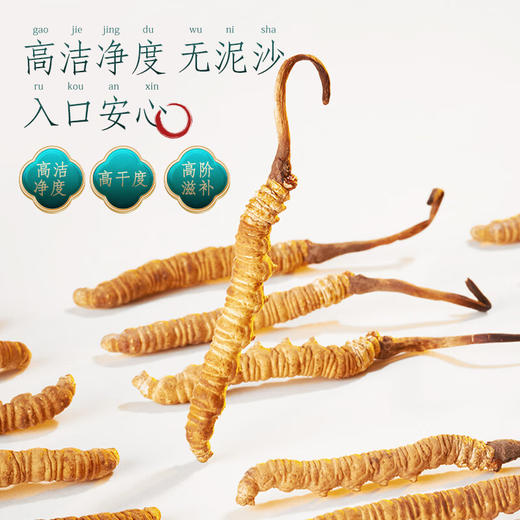 【一件包邮 传统滋补】蔡府3A冬虫夏草4g/170038 内含18根根根甄选虫体饱满有光泽 甘肃/青海/内蒙古/新疆/西藏/宁夏/海南/港澳台不发货 商品图2