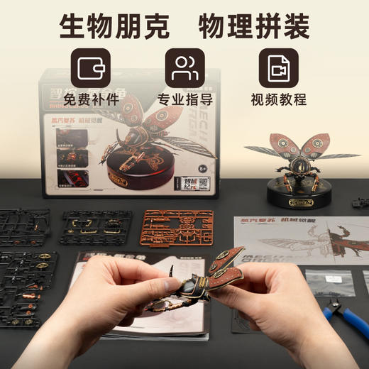 W-RT-MI01-若客-犀金龟 商品图5