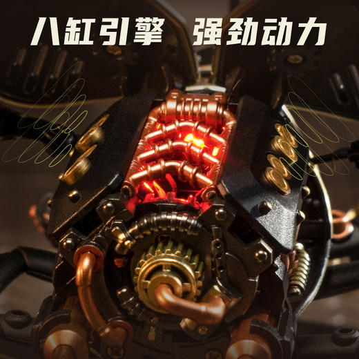 W-RT-MI01-若客-犀金龟 商品图4