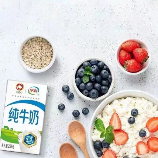 伊利纯牛奶16盒装高钙营养早餐奶家庭整箱 商品图3