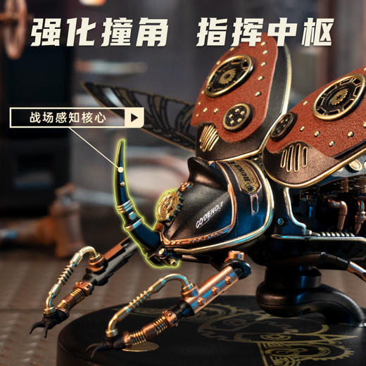 W-RT-MI01-若客-犀金龟 商品图2