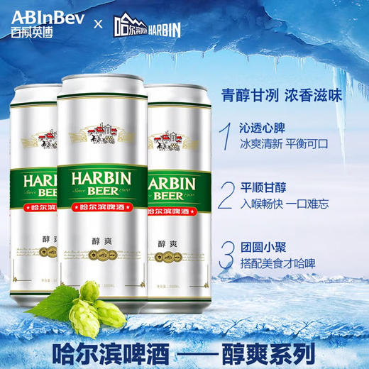 【3罐】哈尔滨啤酒醇爽500ml*3罐一起哈啤经典10度拉格 商品图0