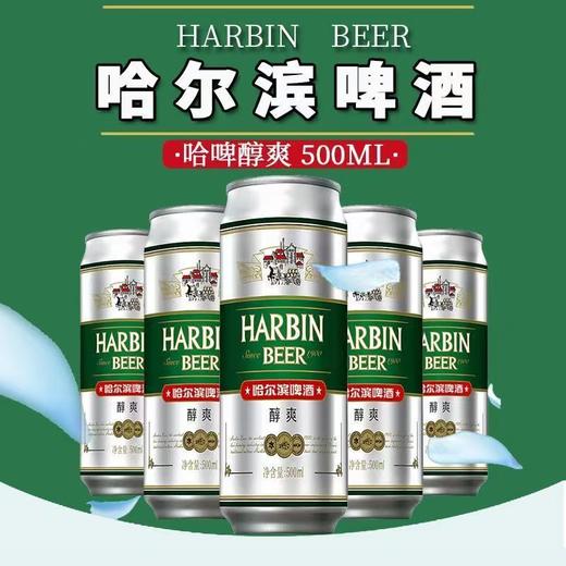 【5罐装】哈尔滨啤酒醇爽500ml*5罐一起哈啤经典10度拉格 商品图0