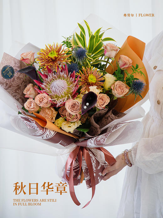 橙意满满 商品图2