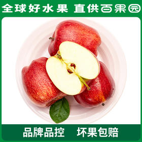 PAGODA百果园 花牛苹果4.5斤彩箱装（单果径75mm+）