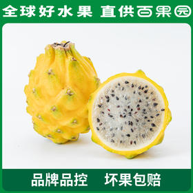 PAGODA百果园 招牌-一品官燕窝果（小）3粒尝鲜装