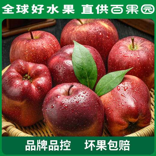 PAGODA百果园 花牛苹果 12粒礼盒装（单果径75mm+） 商品图2