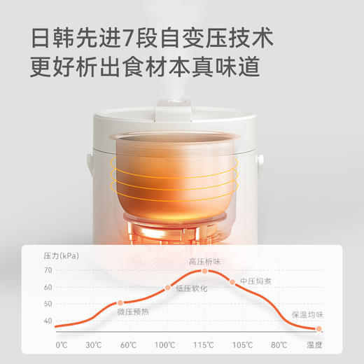 olayks立时 电压力锅小型2L电高压锅1-3人多功能菜单智能调压高压焖煮开盖收汁不粘内胆迷你压力电饭锅 【钢胆】2L/3L 商品图3