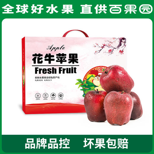 PAGODA百果园 花牛苹果 12粒礼盒装（单果径75mm+） 商品图4