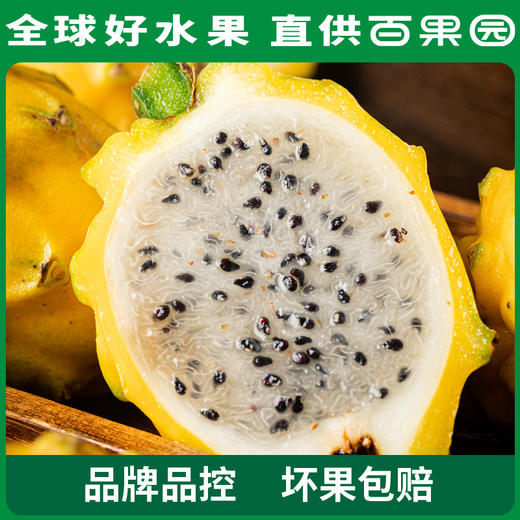 PAGODA百果园 招牌-一品官燕窝果（小）3粒尝鲜装 商品图3