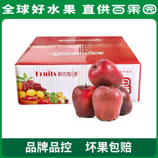 PAGODA百果园 花牛苹果4.5斤彩箱装（单果径75mm+） 商品图4