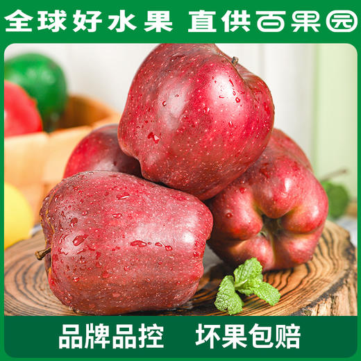 PAGODA百果园 花牛苹果 12粒礼盒装（单果径75mm+） 商品图3