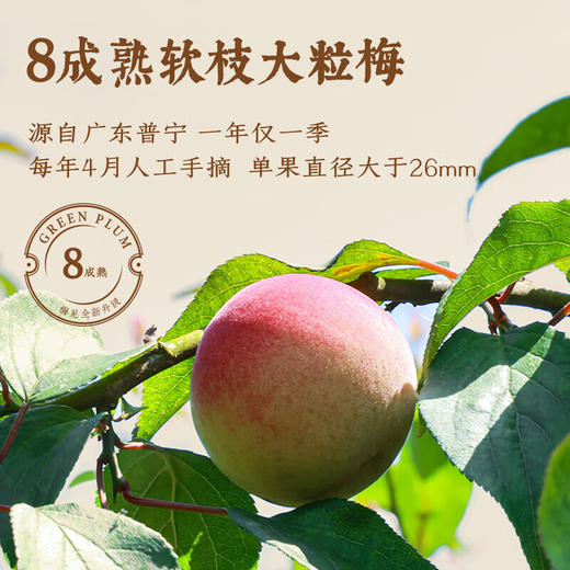 梅见青梅梅子酒12度750ml 商品图2