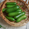 生态水果青瓜（福建） | 合作生产*  Eco-fruit cucumber| Partner Production 商品缩略图3