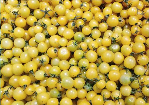 夏日阳光柿子一斤 商品图2