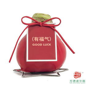 不用浇水的石蜡朱顶红种球！ 红白花-有福气