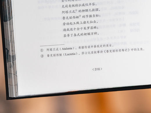 十点出版｜莎士比亚喜剧悲剧集 | 权威译本+65幅精美彩插+超值赠品：一套两本，大十六开本，四色全彩印刷；赠品包含——四张精美藏书票、《哈姆雷特》英文原版别册、定制丝巾 商品图9