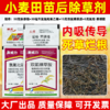 小麦苗后专用除草方案炔草酯除野燕麦看麦娘黑麦草专用除草剂正品 商品缩略图4
