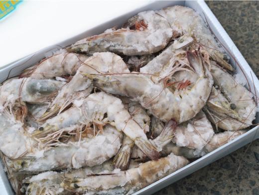 桑塔虾一盒 商品图3