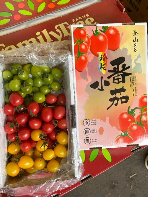 双色千禧番茄 红+黄 两种口味一起拥有 商品图12