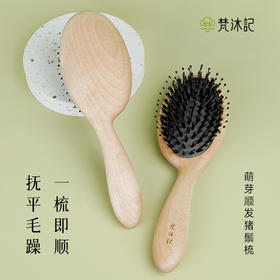 梵沐记萌芽猪鬃气垫梳