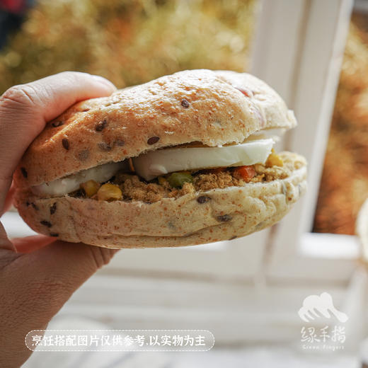 生态贝果| 合作生产*Ecological bagel| Coprodution 商品图3