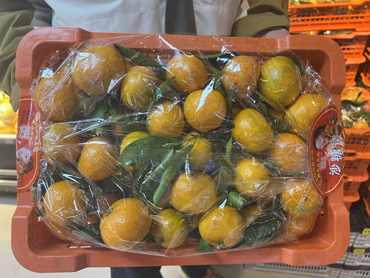 当季必吃】19.9元/件 云南叶橘整件（8斤左右） 商品图1