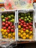 双色千禧番茄 红+黄 两种口味一起拥有 商品缩略图10