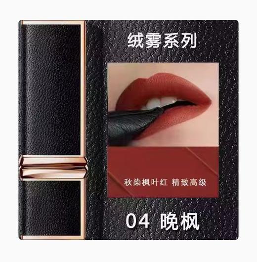 卡姿兰挚臻双芯唇膏04（绒雾系列） 商品图0