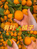 当季必吃】19.9元/件 云南叶橘整件（8斤左右） 商品缩略图0