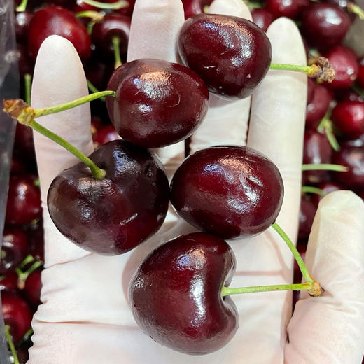 【脆嫩多汁】进口车厘子(2J)  约500g/份 商品图1