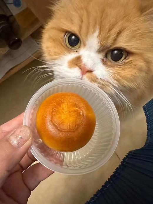 57.9 元【2件套】低糖组合 商品图5