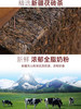 【严选】【新疆茯砖茶 全脂奶粉 奶香浓郁】新疆八大怪原味/咸味新疆奶茶400g /袋   （厂家直发） 商品缩略图2
