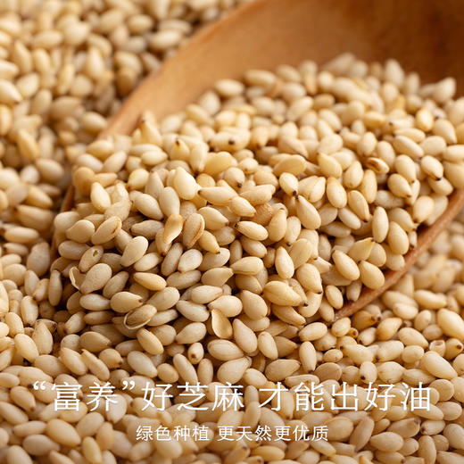 南食召 小磨香油 商品图3