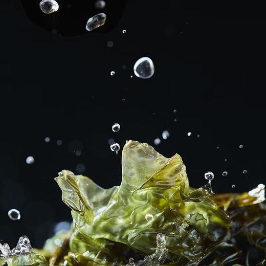 四洲紫菜40g（原味/芥辣/番茄味） 商品图1